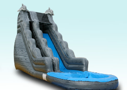Waterslide Great for any party.  Experience a Dolphin Encounter this Summer!