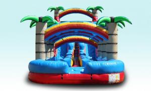 Chicago Inflatable Waterslide Rental, Dual Lane Palm Paradise in Illinois