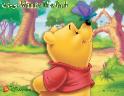 Winnie The Pooh Moonwalk Rental & Party Favors