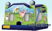 4 in 1 Combo Moon Jump, Slide & Basketball hoop.  Kids, Children's Party rental, Chicago IL
